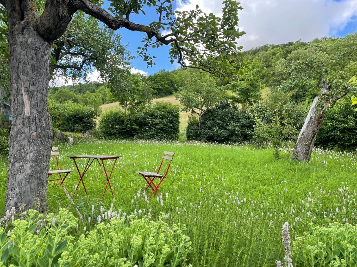 Rose Cottage Im Romantischen Taubertal Adelshofen  Eksteriør billede